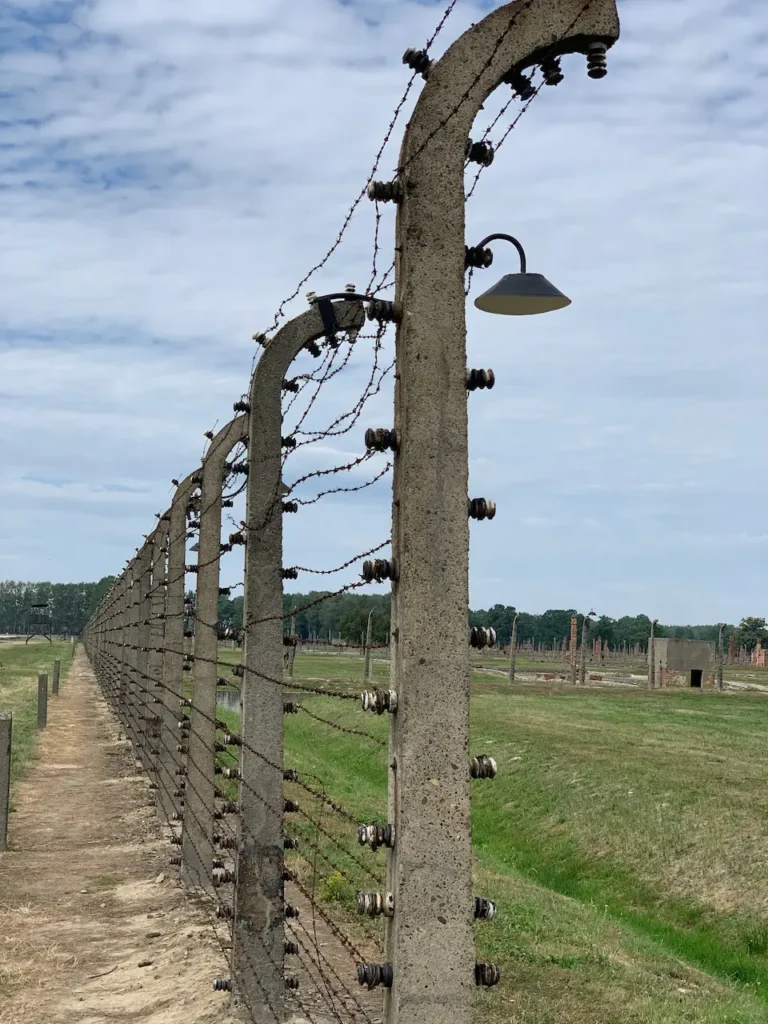 Fotografie zachycuje drátěné ploty v koncentračním táboře Osvětim (Auschwitz). Betonové sloupy podpírají ostnatý drát, který obklopoval tábor a bránil útěkům vězňů. Na sloupech jsou upevněny izolátory a lampy, které osvětlují táborovou zónu. V pozadí je vidět rozlehlý táborový areál s ruinami budov. Tento pohled připomíná drastické podmínky, ve kterých byli vězni drženi, a symbolizuje utrpení a hrůzy, které se zde odehrávaly.