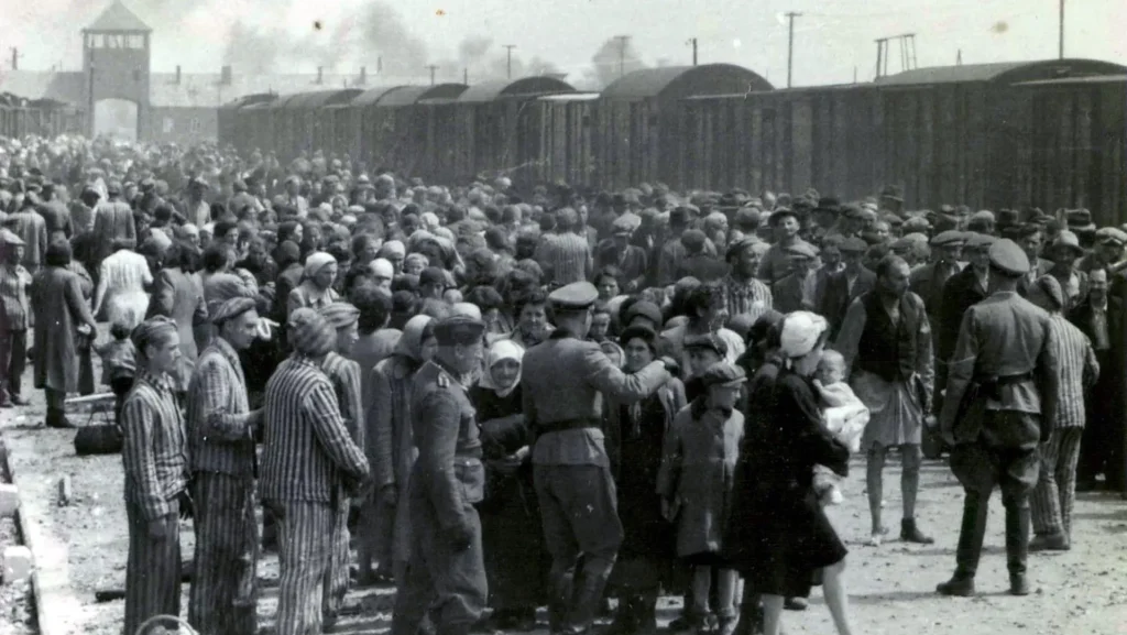 Fotografie zachycuje příjezd vězňů do koncentračního tábora Auschwitz-Birkenau. Na snímku je vidět velké množství lidí, včetně mužů, žen a dětí, kteří jsou nuceni vystoupit z vlaků a čekají na selekci. Někteří jsou oblečeni v pruhovaných táborových uniformách, zatímco ostatní mají civilní oděv. Nacisté v uniformách řídí tento proces. V pozadí lze spatřit strážní věže a táborové budovy, což podtrhuje hrůznou realitu, které byli příchozí vystaveni. Tento obraz silně připomíná brutalitu a nehumánnost nacistických koncentračních táborů.