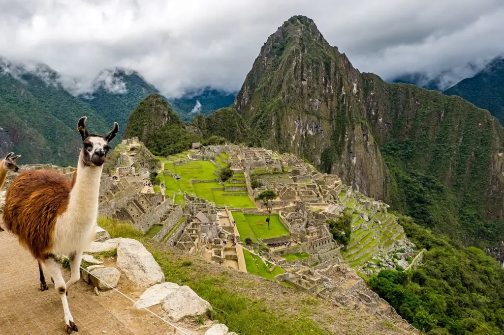 Lama stojící před ruinami Machu Picchu v Peru, s dramatickým horským pozadím, symbolizující harmonii mezi inckou civilizací a přírodou.