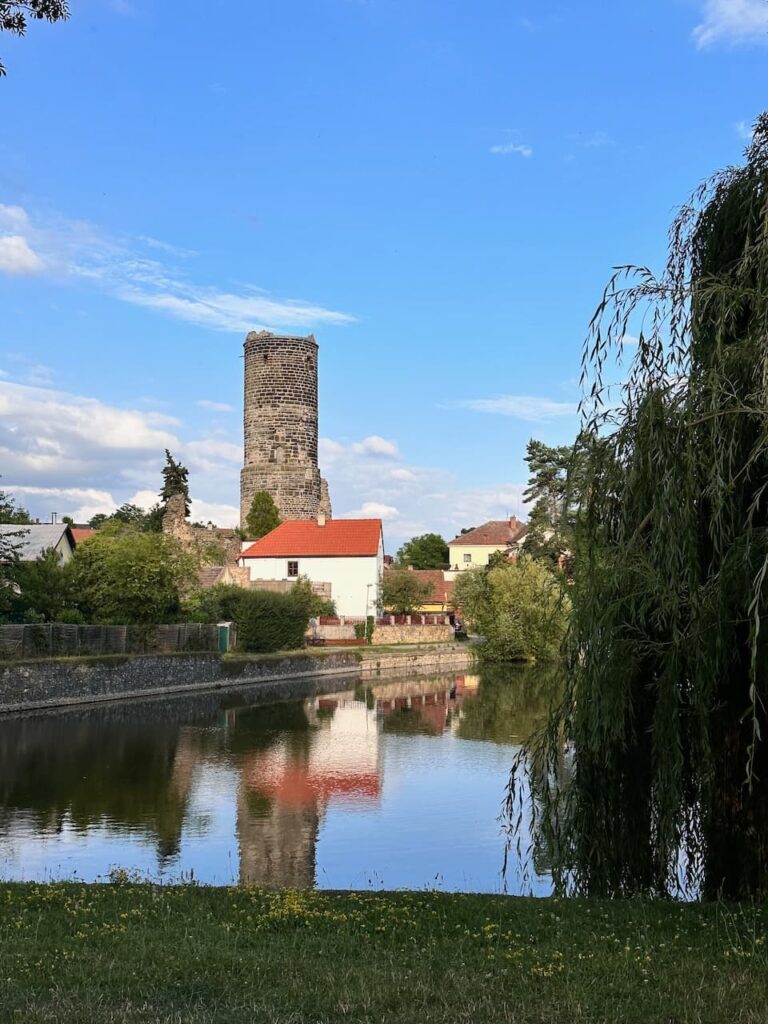 Fotografie zachycuje klidnou scenérii s hradem Jenštejn v pozadí. Na snímku je vidět historická kamenná věž hradu, která se tyčí nad malou vesničkou s červenými střechami domů. V popředí se nachází řeka nebo rybník, ve kterém se zrcadlí věž a okolní domy. Scénu doplňuje zelená tráva a vrba, která visí nad vodní plochou. Modrá obloha s několika bílými mraky a příjemné letní počasí dodávají fotografii poklidnou a malebnou atmosféru.