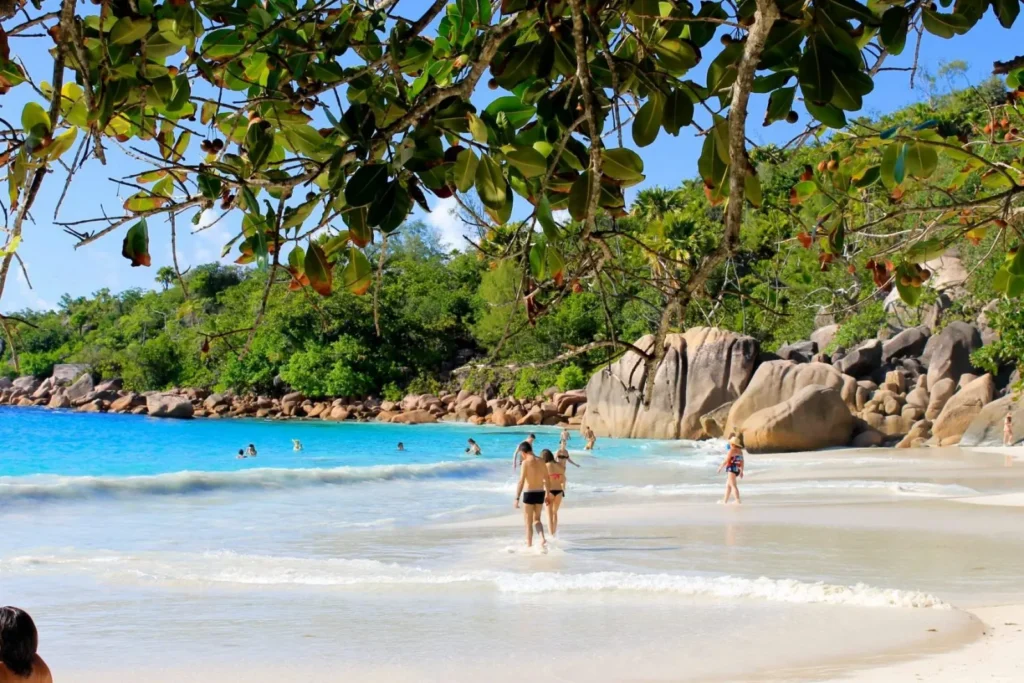 Pláž Anse Lazio na ostrově Praslin na Seychelách. Na obrázku je vidět bílý písek, tyrkysově modré moře a lidé koupající se a procházející po pláži. Scenérii doplňuje bujná vegetace a velké žulové balvany. V popředí jsou větve stromů s listy.