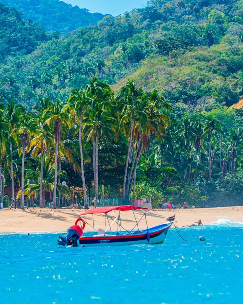 Loď zakotvená u pláže s palmovými stromy v Puerto Vallarta, ideální destinace pro tropickou dovolenou.
