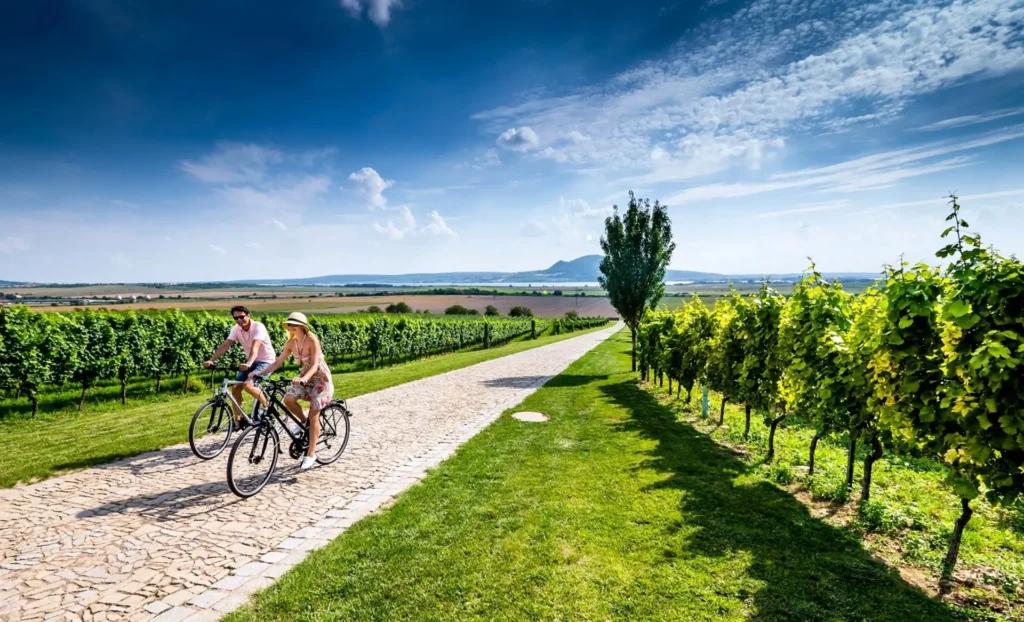 Dva cyklisté jedou po pěší a cyklistické stezce mezi vinohrady v krásné slunečné krajině jižní Moravy. Jasná modrá obloha s několika oblaky a zelené vinice vytvářejí idylický výhled do otevřené krajiny s kopcem v pozadí.