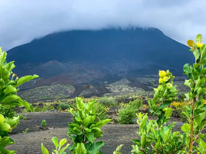 Sopka Pico do Fogo zahalená mraky, s bujnou vegetací v popředí, Kapverdy.