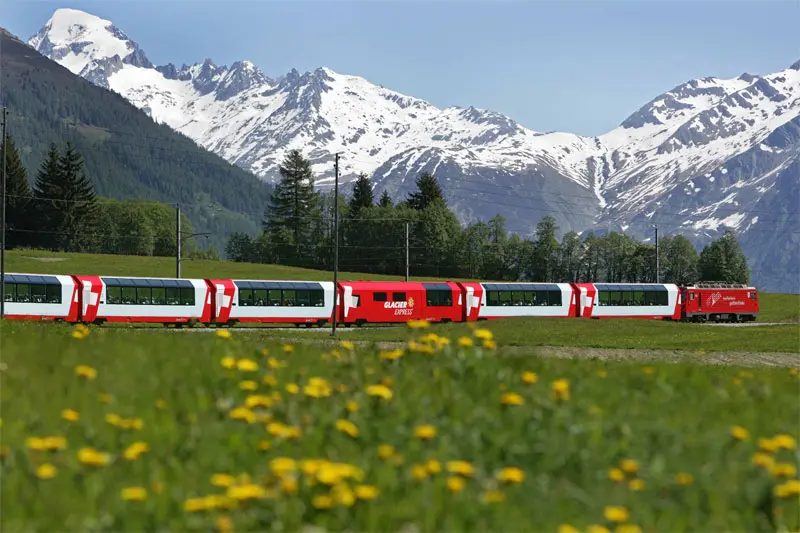 Vlak Glacier Express projíždějící zelenou alpskou krajinou s rozkvetlými květinami v popředí a zasněženými horami v pozadí.